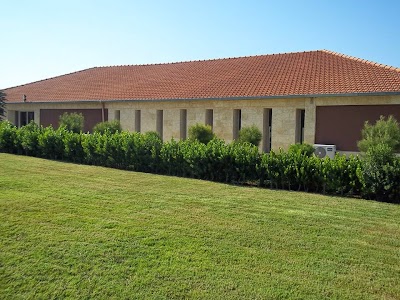 university