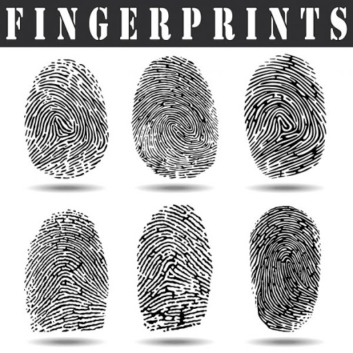 Fingerprinting Cambria Heights