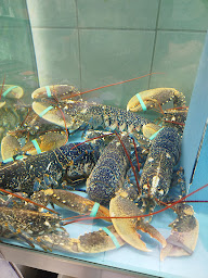 Photo n°9 de Poissonnerie Les 2 Caps à Calais (Marché aux poissons et fruits de mer)