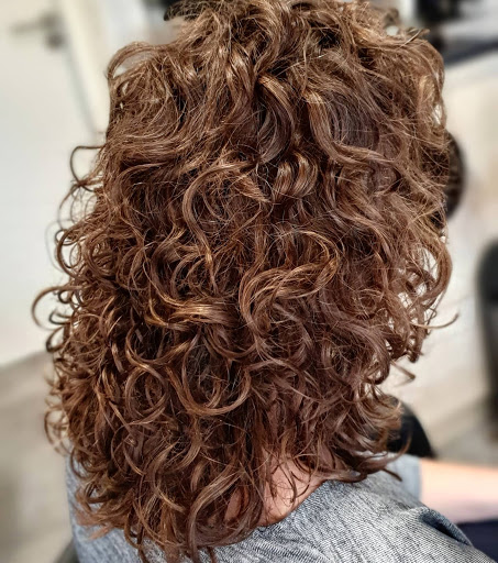 Salon16 - Visual