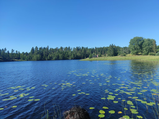 Bjänleden - Visual