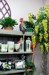 Photo n°22 de Fleur & Sens à Souillac (Fleuriste)