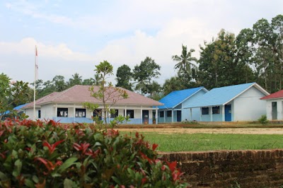 school