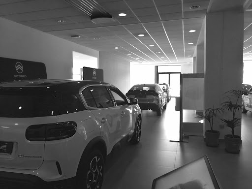 CENTRALGARAGE SRL - Visual