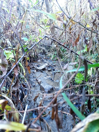 Tharps Run Cemetery Gallery - United States