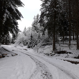 Photo n°41 de Hebergement François MATHIEU à Saint-Maurice-sur-Moselle (Chambre d'hôtes)