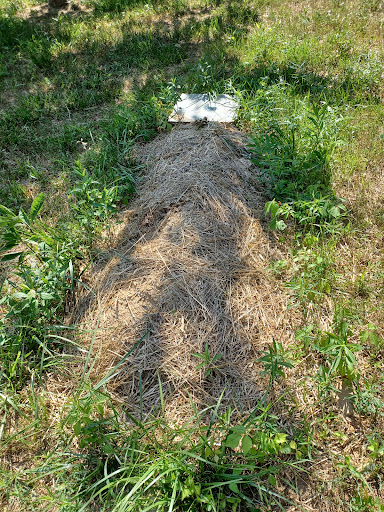 Serenity Ridge Natural Burial Cemetery and Arboretum