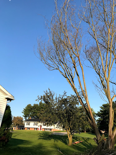 Scotts Landscaping and Tree Service