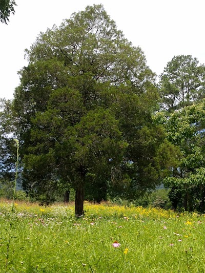 Spring City Nature Park