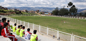 Estadio Herminio Ñaupari 3