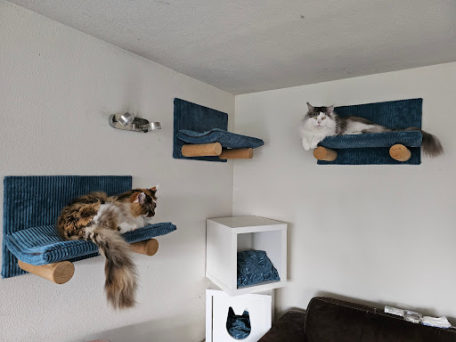 Cat-Walk.nl