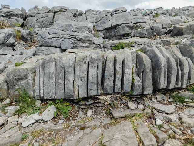 The Burren