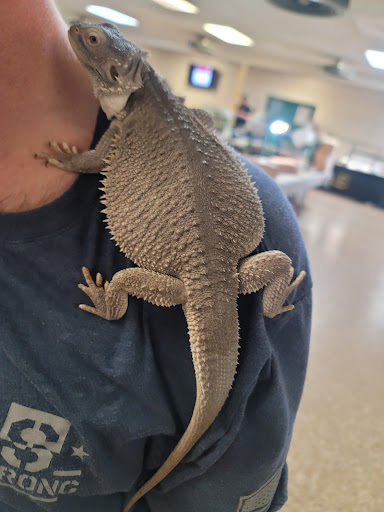 INDIANA REPTILE BREEDERS EXPO *once a month* - Thumbnail