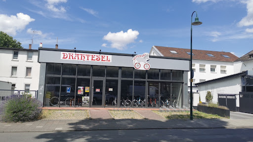 Temmer M. G. - Thumbnail