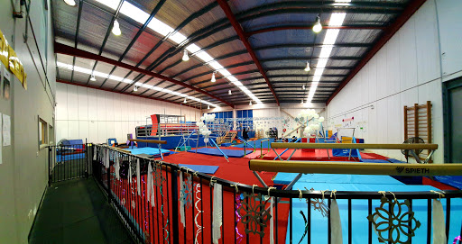 Lane Cove Gymnastics Club