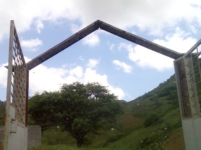 Photos of Eco Centro