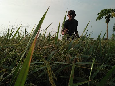 Photos of Sendang Gede Bumi Perkemahan