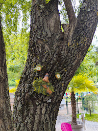 Photo n°34 de Camping Les Templiers à Roquebillière (Terrain de camping)