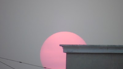 Photos of Angola Image Bank