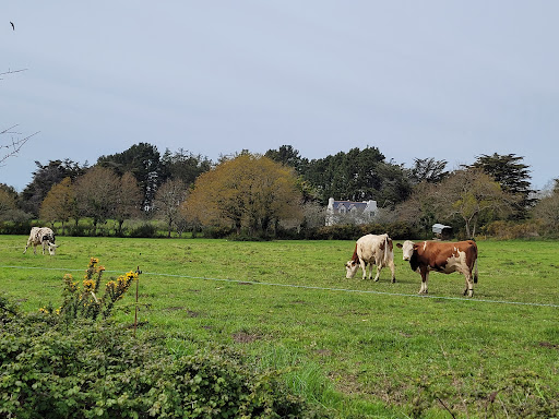 Mairie annexe de Brillac - Thumbnail