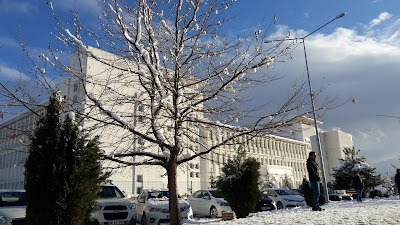 Mustafa Çizmecioğlu Anadolu Lisesi