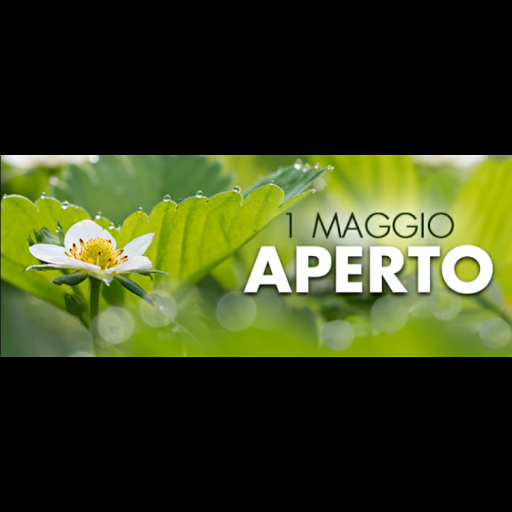 Macelleria Audero Luca Gallery - Italy