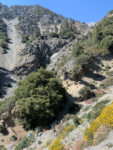 Mt Baldy Visitor Center