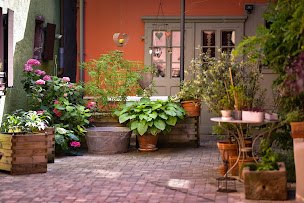 Photo n°20 de Gîte Zum Harzala à Ribeauvillé (Gîte)