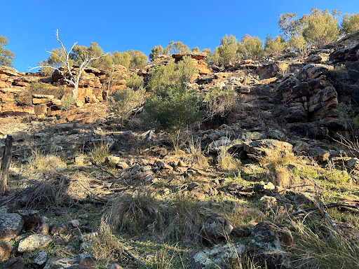 Jacks Creek picnic area
