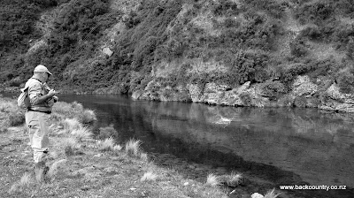 Photos of Backcountry New Zealand