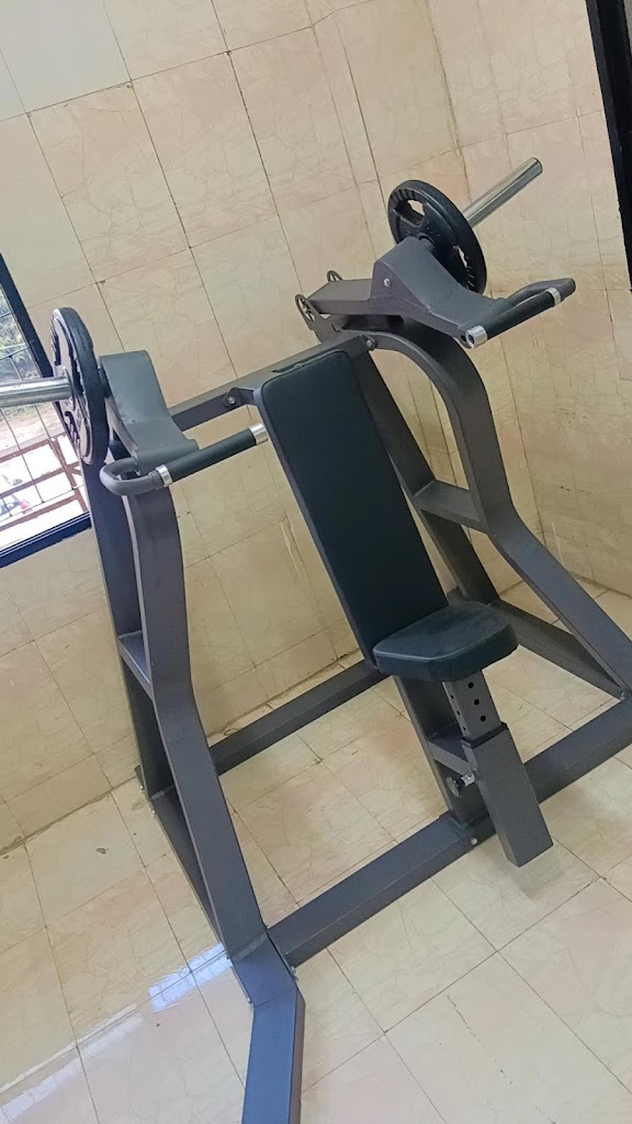 D Fitness Gym