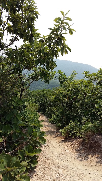 Photos of 철마산