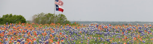Lone Star Realtors - Thumbnail