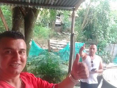 Photos of Alquiler De Lavadoras