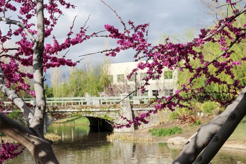 American College-Health Care & Technology