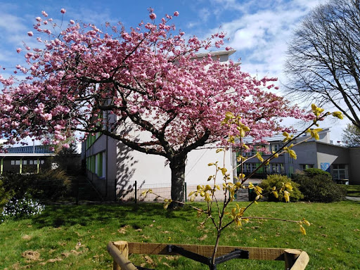École Quéliverzan