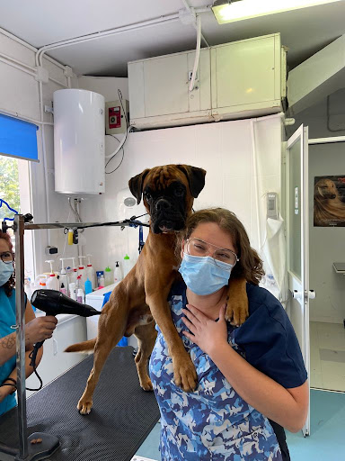 Clínica Veterinaria Animal Trust