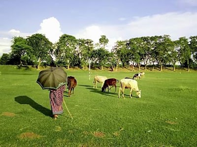 Photos of Bashnhata Nodi