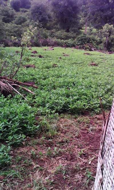 Photos of Fouta Djallon