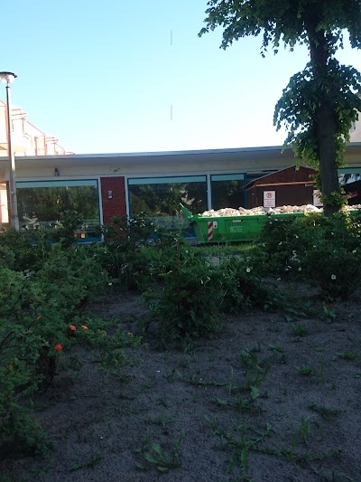 grocery-or-supermarket
