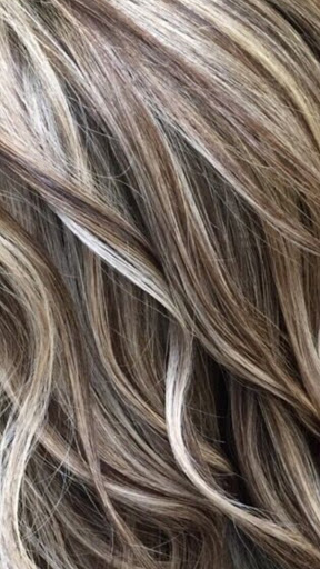 Style Studio Hair Design