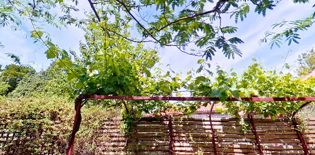 http://www.casadalevada.com/