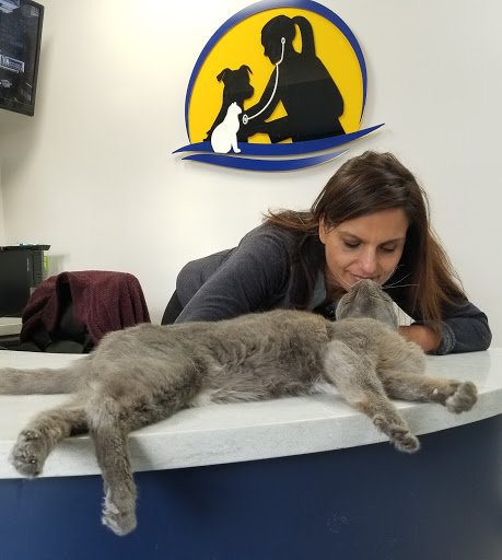 Balmy Beach Pet Hospital