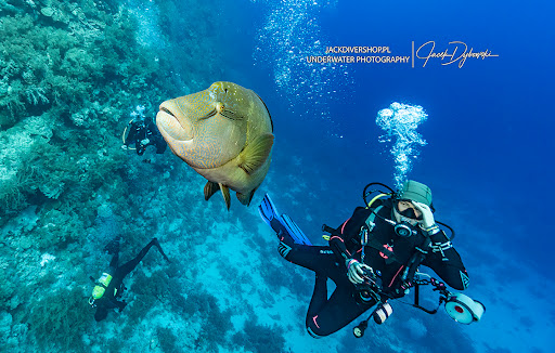 JackDiverShop Centrum szkoleń nurkowych, biuro podróży, fotografia podwodna