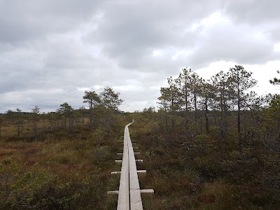 Photos of Kakerdaja raba matkarada