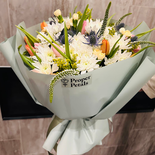 Proper Petals - Visual