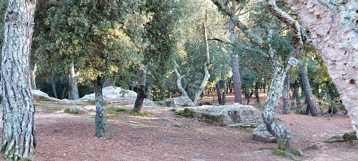 Parking Castell de Farners - Thumbnail