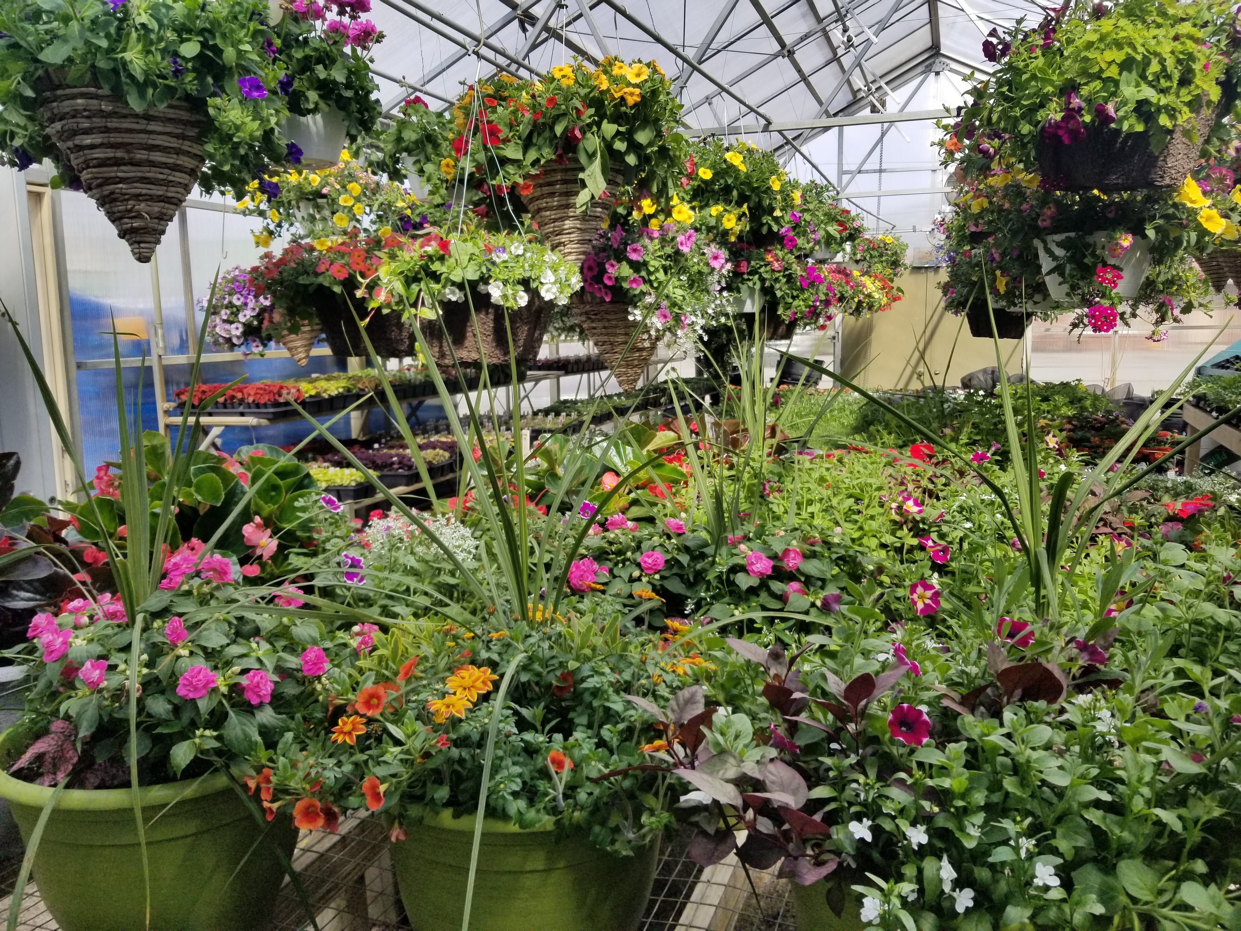 Cook's Nursery
