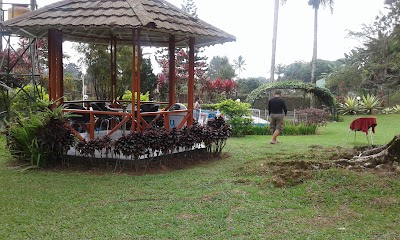 Photos of Villa Shell