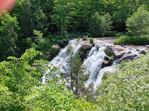 Bucktail Waterfall Park - Thumbnail